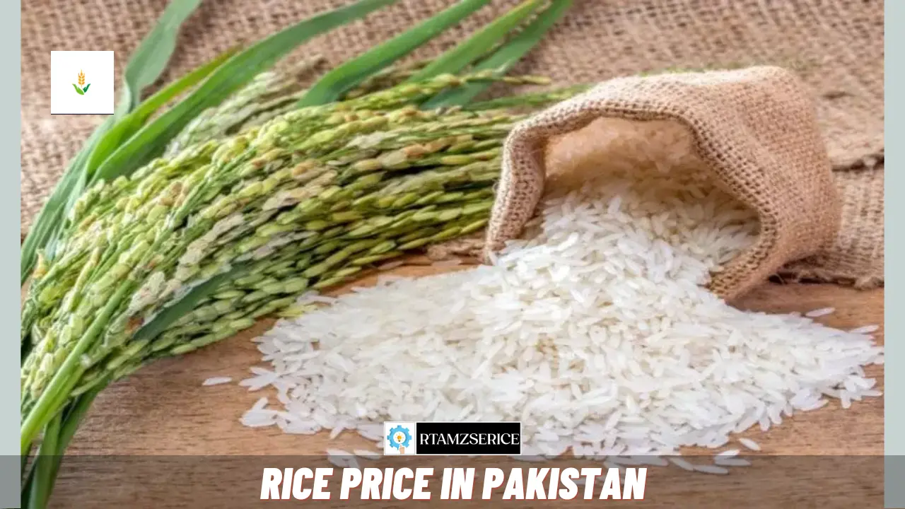 Rice Price in Pakistan