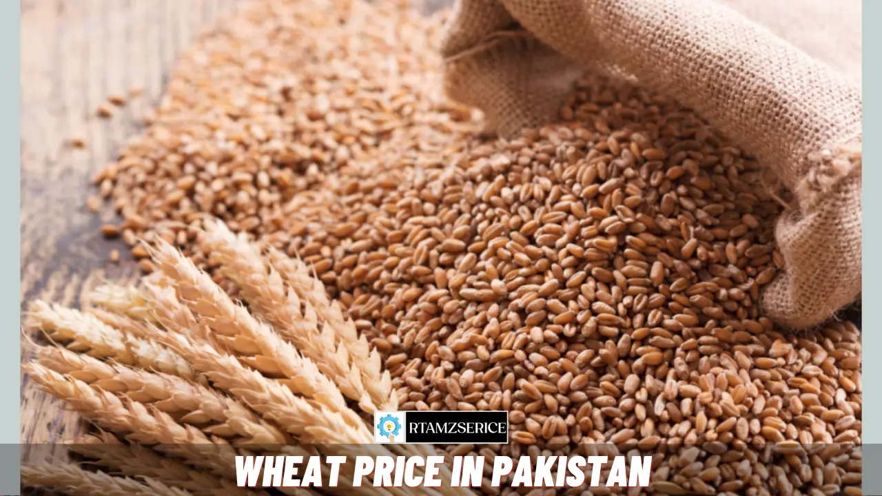 Wheat Price in Pakistan 2024